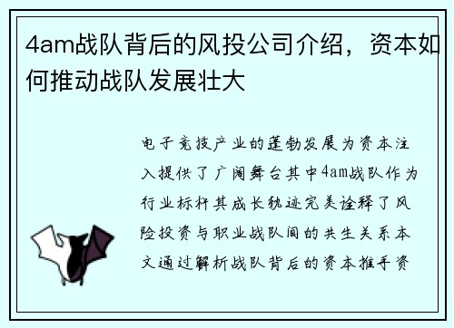 4am战队背后的风投公司介绍，资本如何推动战队发展壮大